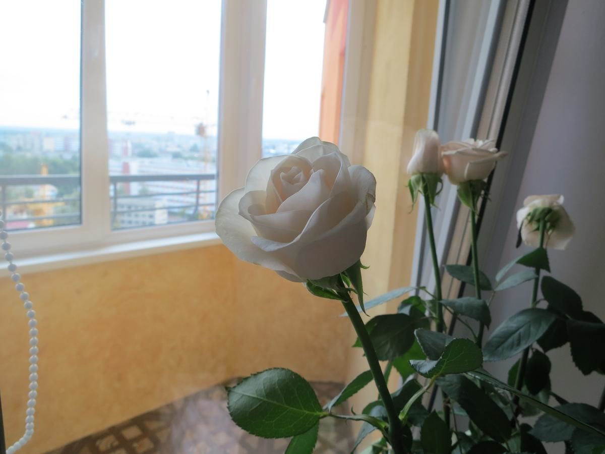 Апартаменты Аpartments in the center of Brest Брест-15